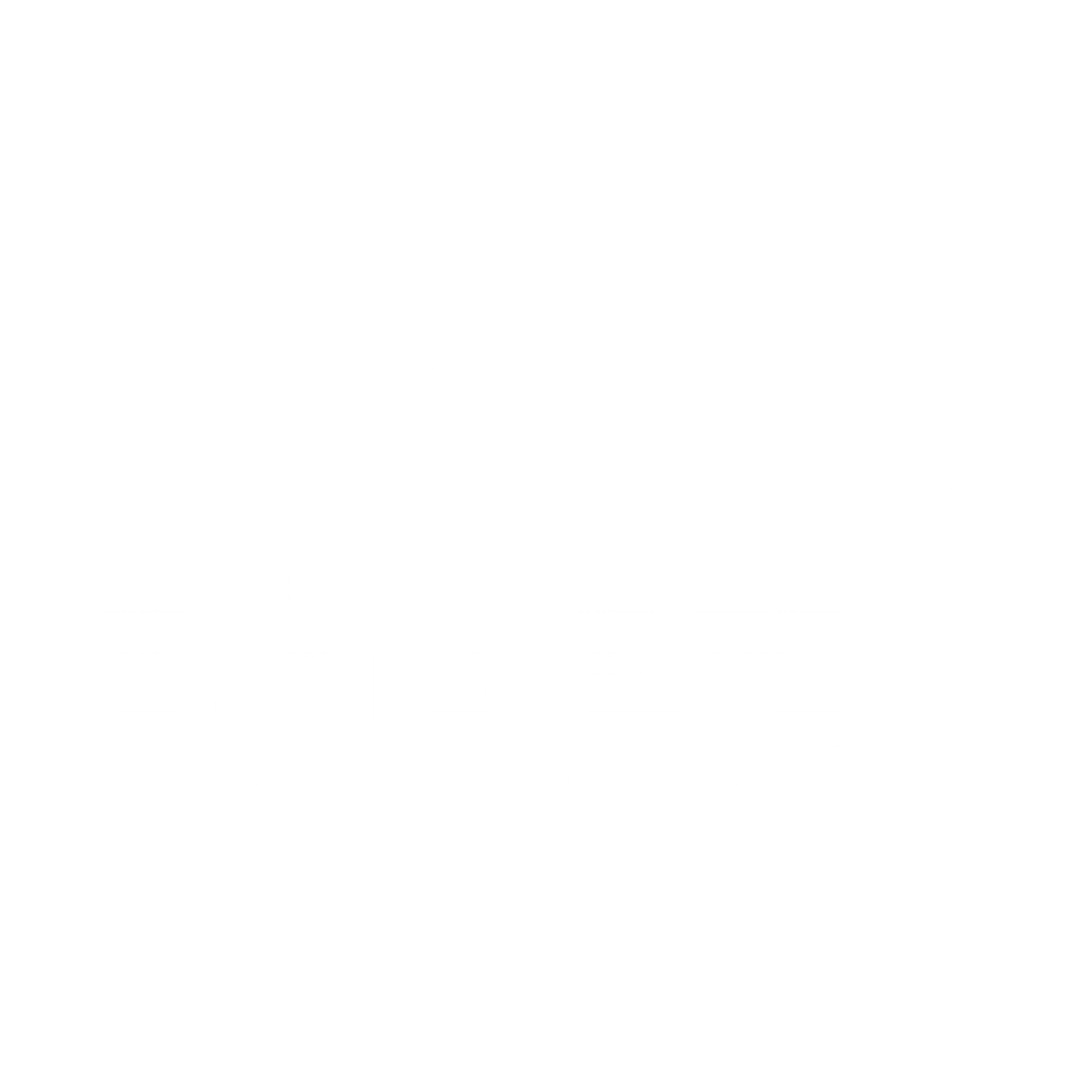 Shoezy Logo